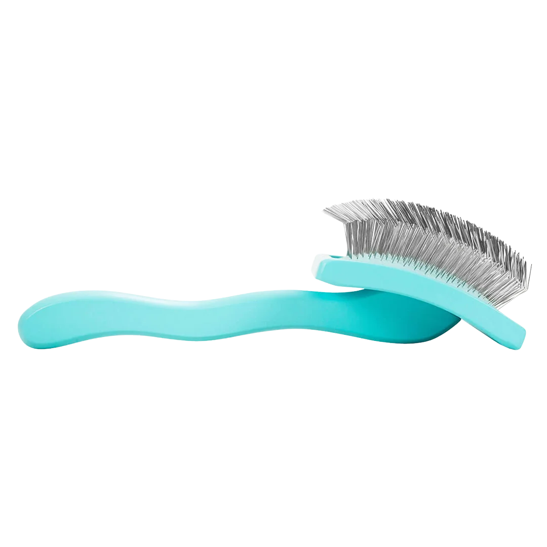 Dog Large Home Care Big Brush G Teal Slicker by Chris Christensen