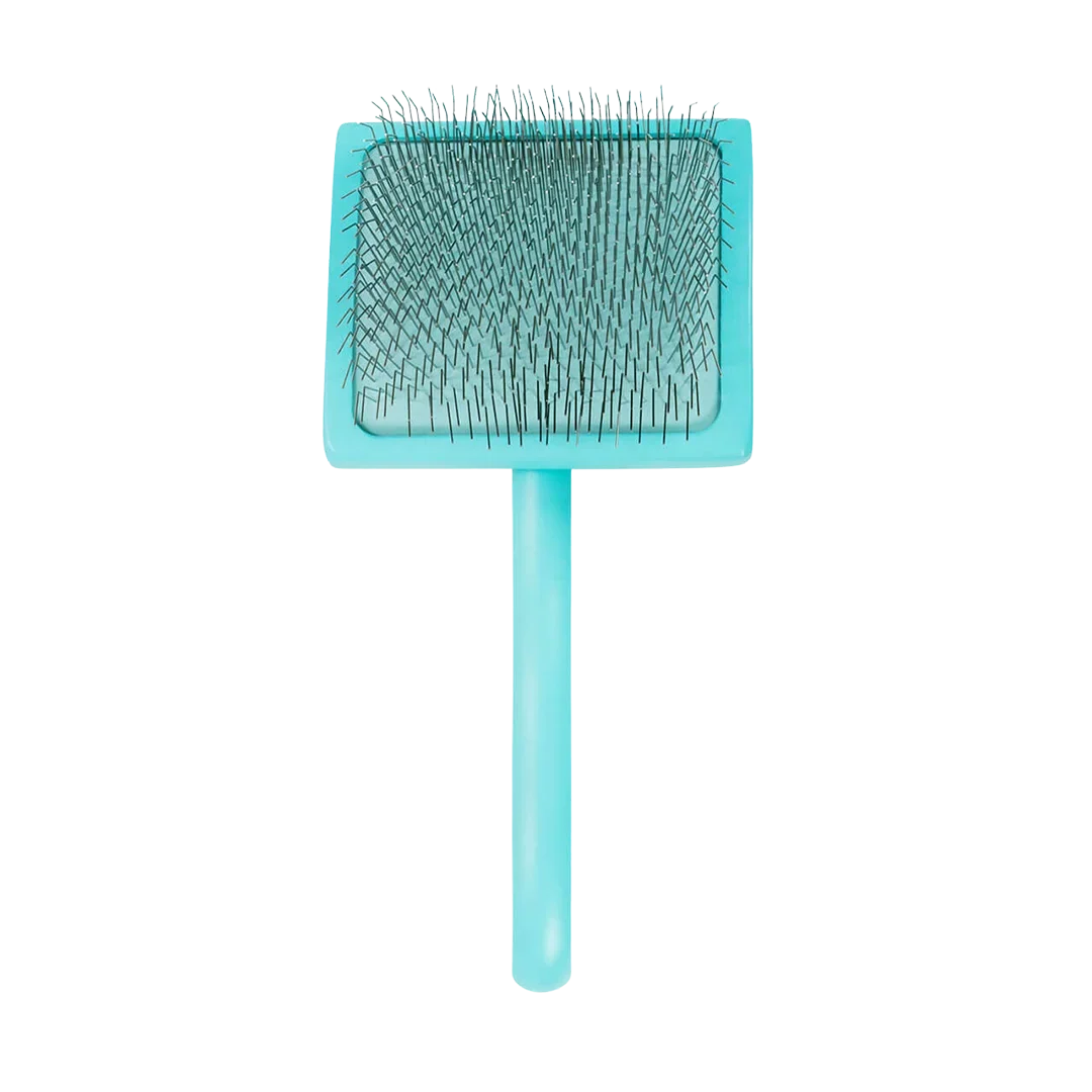 Dog Large Home Care Big Brush G Teal Slicker by Chris Christensen