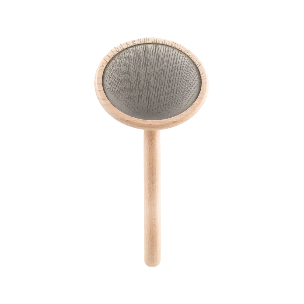  professional dog grooming tool Southlake Paws