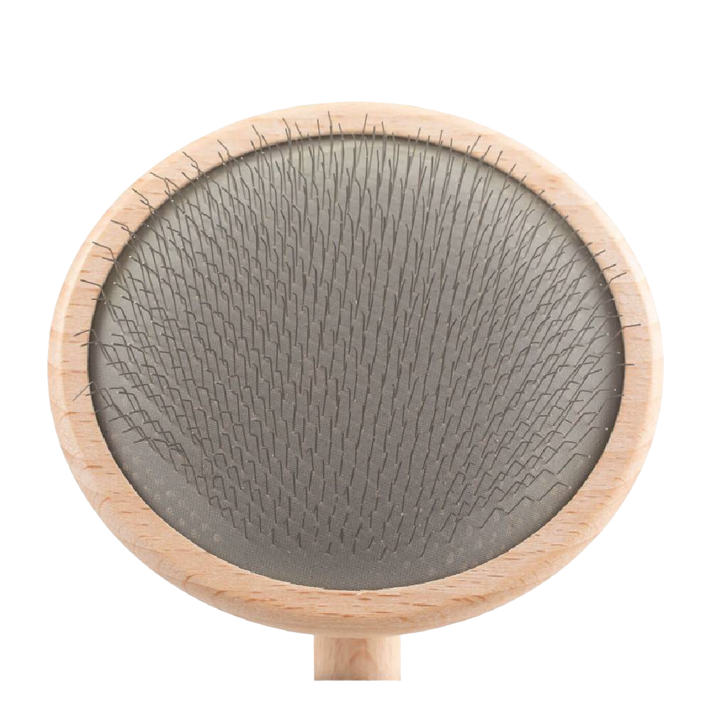  professional dog grooming tool Southlake Paws