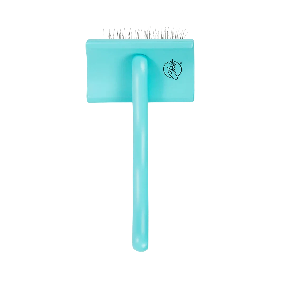 Dog Medium Home Care Big G Teal Slicker Brush by Chris Christensen