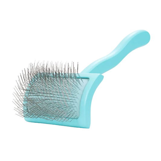 Dog Medium Home Care Big G Teal Slicker Brush by Chris Christensen