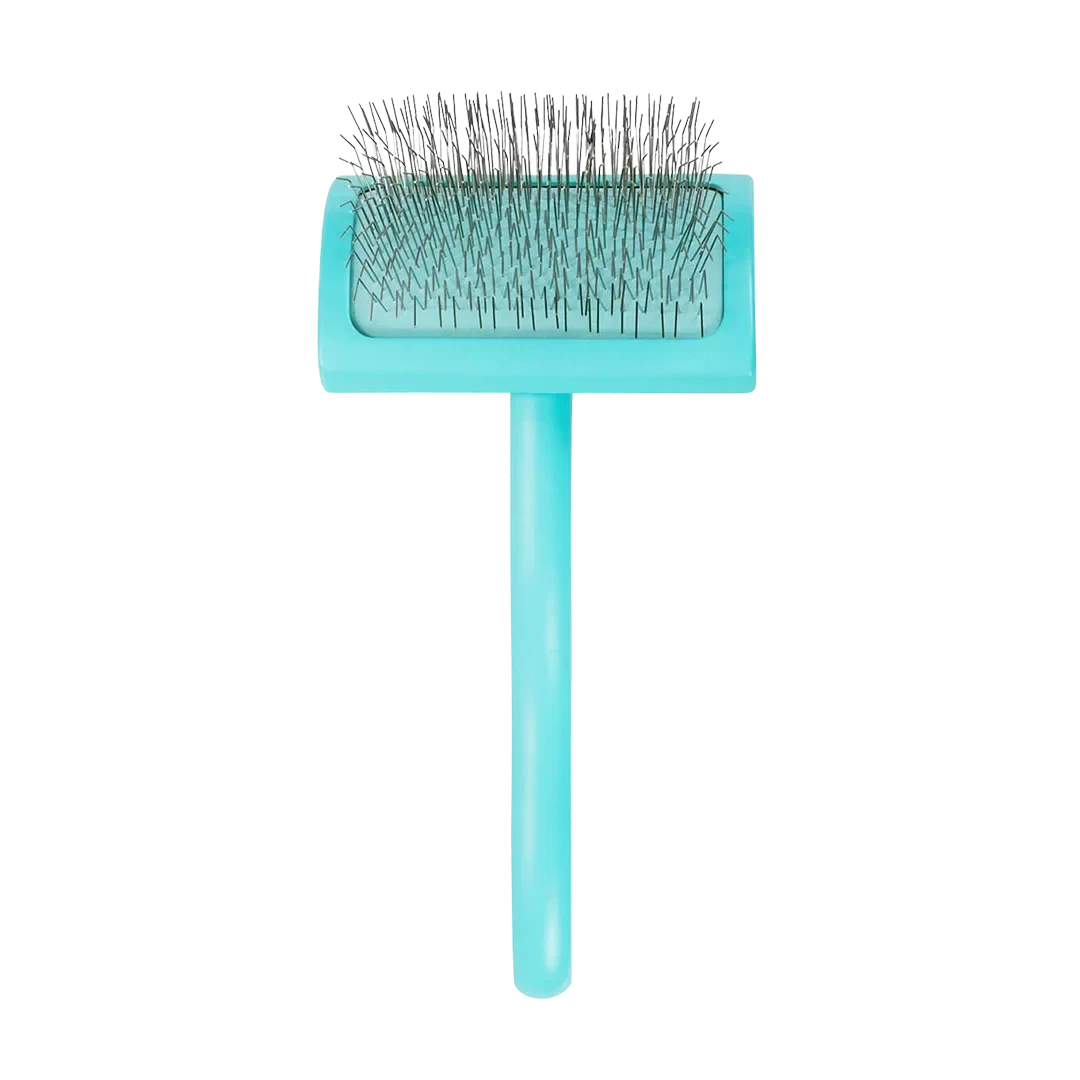 Dog Medium Home Care Big G Teal Slicker Brush by Chris Christensen