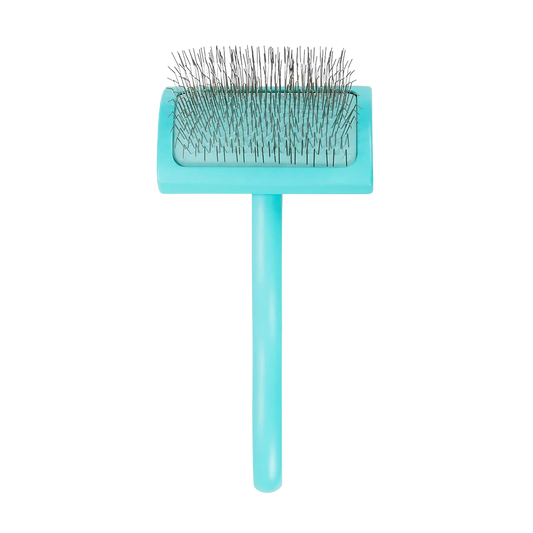 Medium Home Care Big G Teal Slicker Brush by Chris Christensen