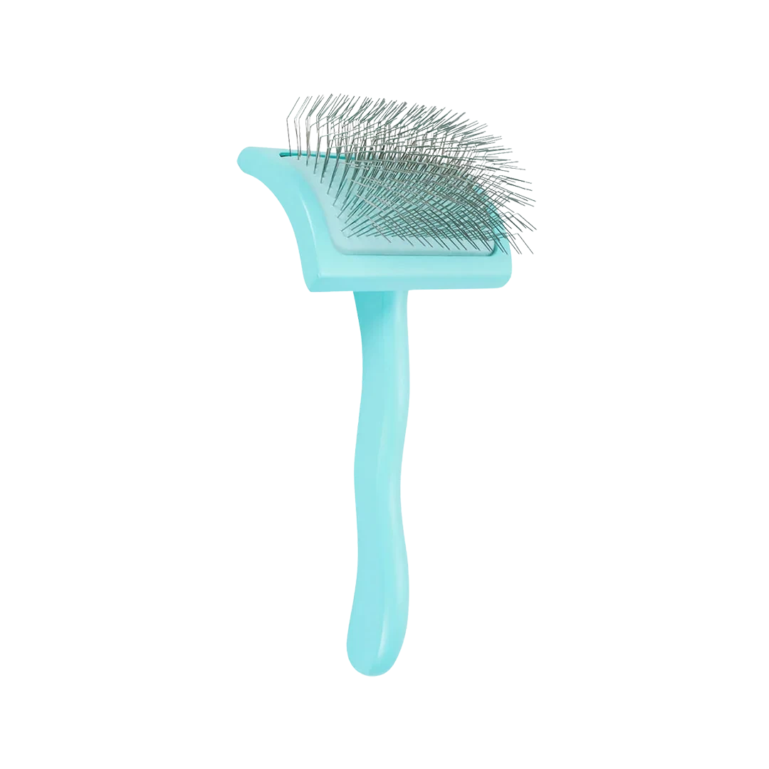Dog Medium Home Care Big G Teal Slicker Brush by Chris Christensen