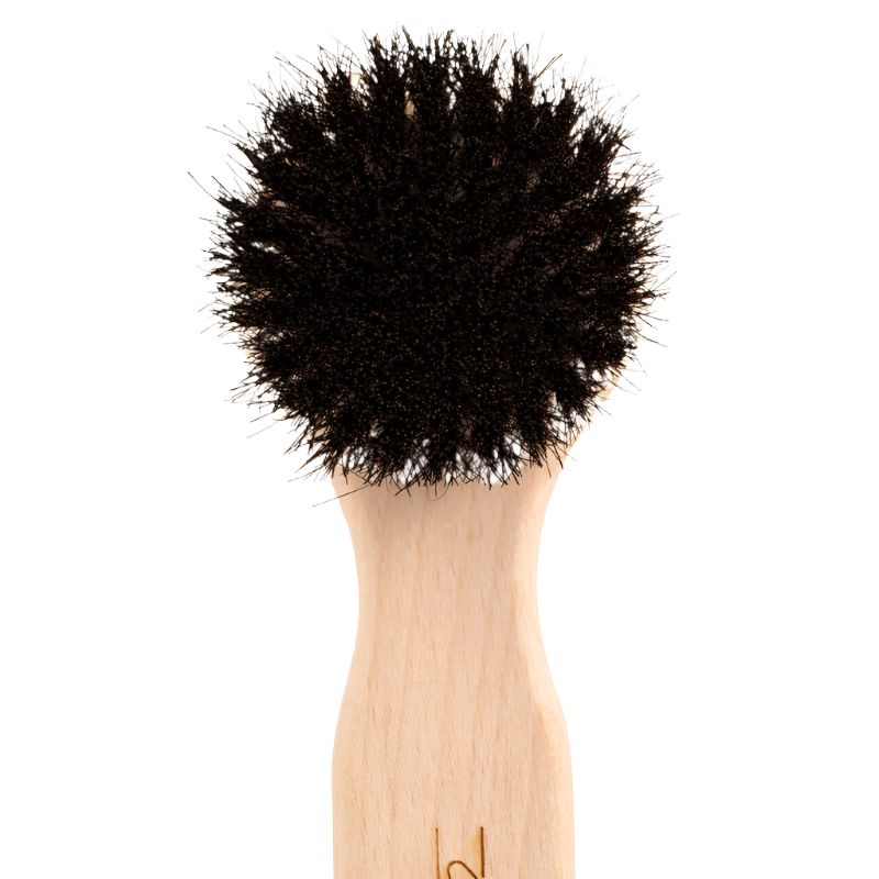  professional dog grooming tool Southlake Paws