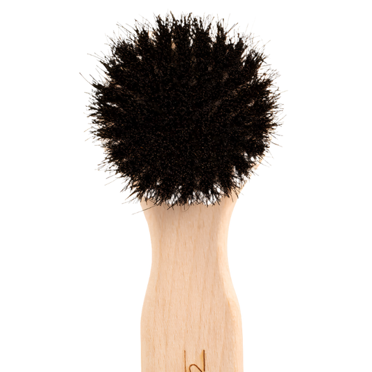  professional dog grooming tool Southlake Paws