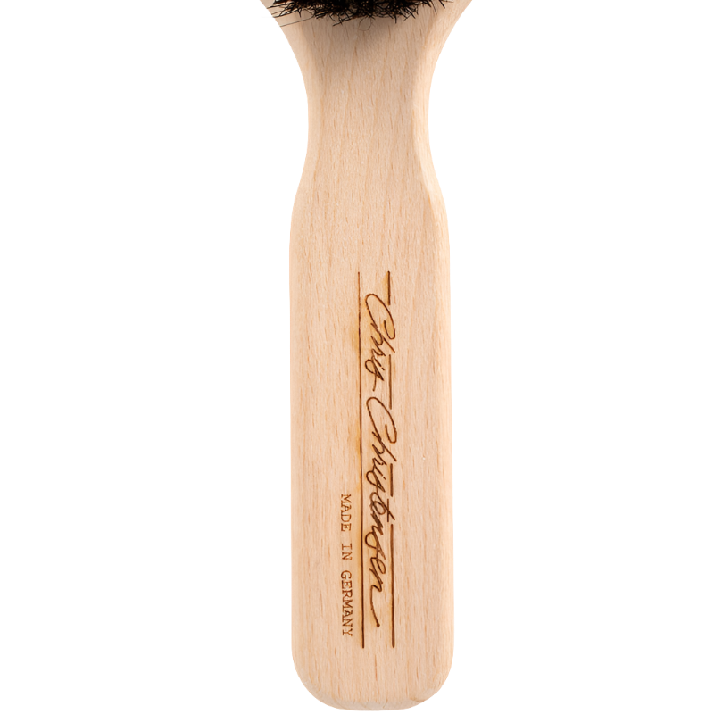  professional dog grooming tool Southlake Paws