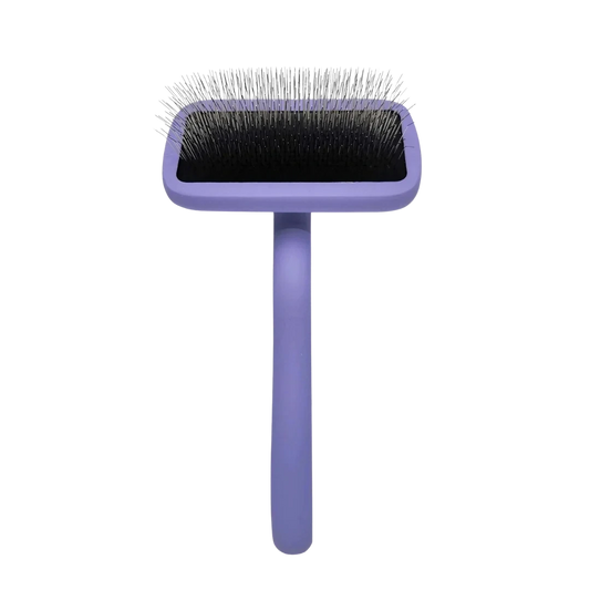 Dog Small Karben Lavender Slicker Brush by Chris Christensen