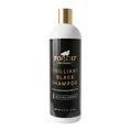 Load image into Gallery viewer, Top Cat Brilliant Black Shampoo 16oz by Chris Christensen
