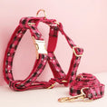 Load image into Gallery viewer, Christmas Red Star Plaid Set
