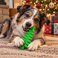 Load image into Gallery viewer, Christmas Tree Nylon Dog Chew Toy for Aggressive Chewers | USA Made & FDA Compliant
