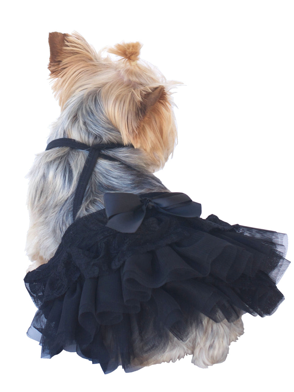 Zsa Zsa Cinema Skirt