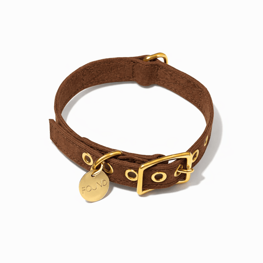 Dog Collars Premium Cinnamon Cotton Canvas Cat & Dog Collar