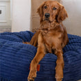 Load image into Gallery viewer, 50 Inch Forever Dog Bed (Waterproof) - Terry Corduroy
