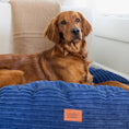 Load image into Gallery viewer, 50 Inch Forever Dog Bed (Waterproof) - Terry Corduroy
