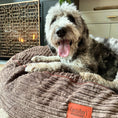 Load image into Gallery viewer, 40 Inch Forever Dog Bed (Waterproof) - Terry Corduroy
