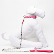 Glam Bi-Color Dog Leash