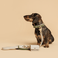 Load image into Gallery viewer, Collar - Vegan Leather
