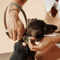 Load image into Gallery viewer, Collar - Vegan Leather
