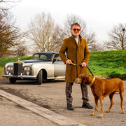 Ostrich Leather Dog Collar Havana