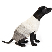 Color Block Cable Dog Sweater