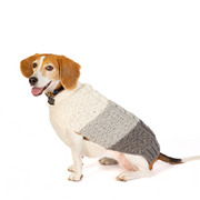 Color Block Cable Dog Sweater