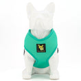 Load image into Gallery viewer, EcoBark Mint Turquoise Dog Harness - Over-the-Head Soft Mesh Vest Halter for Small to Medium Dogs
