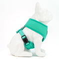 Load image into Gallery viewer, EcoBark Mint Turquoise Dog Harness - Over-the-Head Soft Mesh Vest Halter for Small to Medium Dogs
