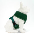 Load image into Gallery viewer, EcoBark Forest Green Dog Harness - Over-the-Head Vest Halter Soft Mesh for Small to Medium Dogs
