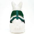Load image into Gallery viewer, EcoBark Forest Green Dog Harness - Over-the-Head Vest Halter Soft Mesh for Small to Medium Dogs

