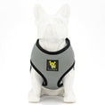 Load image into Gallery viewer, EcoBark Gray Dog Harness - Over-the-Head Dog Soft Mesh Vest Halter for Small to Medium Dogs and Puppies
