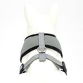 Load image into Gallery viewer, EcoBark Gray Dog Harness - Over-the-Head Dog Soft Mesh Vest Halter for Small to Medium Dogs and Puppies
