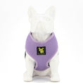 Load image into Gallery viewer, EcoBark Lavender Dog Harness - Over-the-Head Soft Mesh Vest Halter for XS to Medium Breed Dogs
