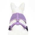 Load image into Gallery viewer, EcoBark Lavender Dog Harness - Over-the-Head Soft Mesh Vest Halter for XS to Medium Breed Dogs
