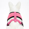 Load image into Gallery viewer, EcoBark Bubblegum Pink Dog Harness - Over-the-Head Dog Vest Halter for Small to Medium Dogs and Puppies
