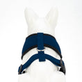 Load image into Gallery viewer, EcoBark Navy Dog Harness - Over-the-Head Soft Mesh Dog Vest Halter for Small to Medium Dogs and Puppies
