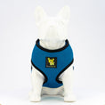 Load image into Gallery viewer, EcoBark Teal Dog Harness - Over-the-Head Soft Mesh Dog Vest Halter for Small to Medium Dogs and Puppies
