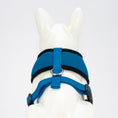 Load image into Gallery viewer, EcoBark Teal Dog Harness - Over-the-Head Soft Mesh Dog Vest Halter for Small to Medium Dogs and Puppies
