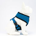 Load image into Gallery viewer, EcoBark Teal Dog Harness - Over-the-Head Soft Mesh Dog Vest Halter for Small to Medium Dogs and Puppies
