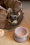 Load image into Gallery viewer, Soufflé Pet Bowl - Purple
