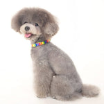 Contempo Collar