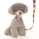 Contempo Collar