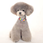 Contempo Collar