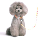 Contempo Collar