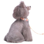 Contempo Collar