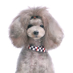 Contempo Collar
