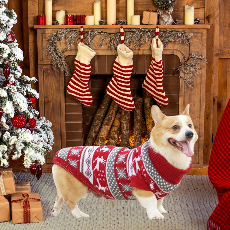 Christmas Deer Print Big Dog Sweater - Southlake Paws
