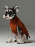 Load image into Gallery viewer, Pretzel Pet Sweater - Tofee Orange

