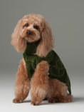 Load image into Gallery viewer, Pretzel Pet Sweater - Olive Green

